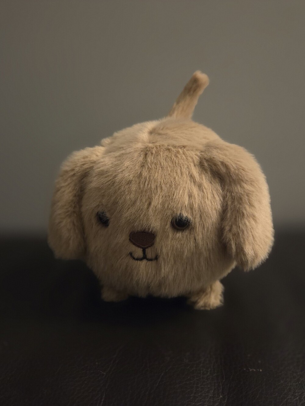 Jellycat Caboodle Puppy